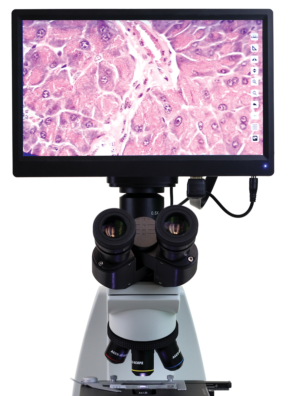 VETSCAN front Hdmicroscop